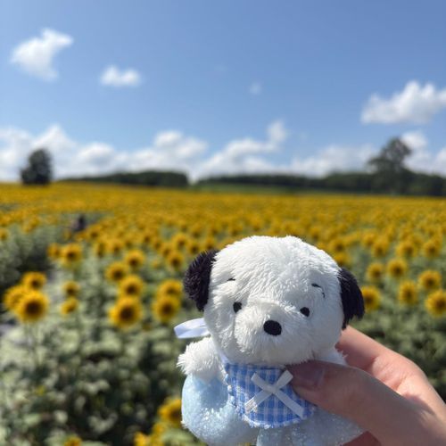 夏もちお🌞🌴🌻
おでかけおしゃれver.
