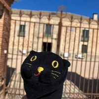 ネコチャン