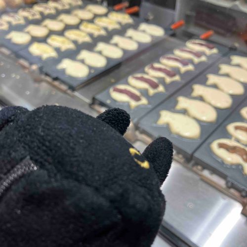 たい焼き屋さん

巧妙な手ぎわ