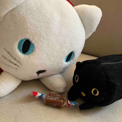フランスのキャラメルとマリちゃん&いれこ🇫🇷