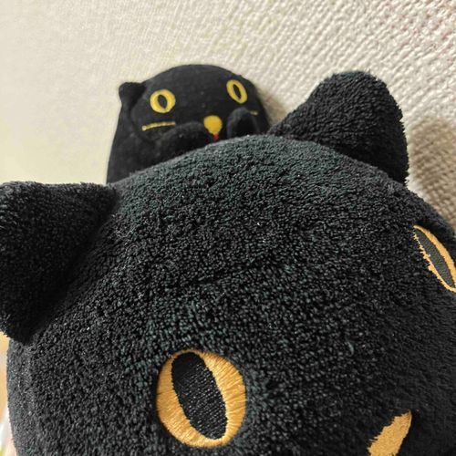 いれ子と背脂