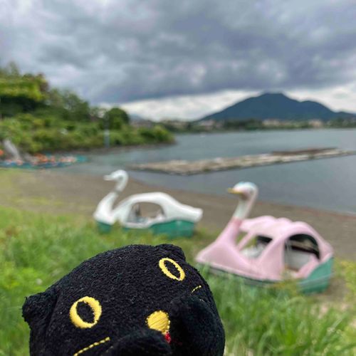 🦢