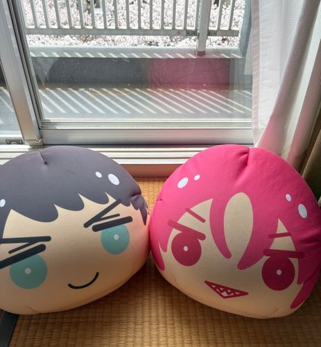 ちょっと前の🌸