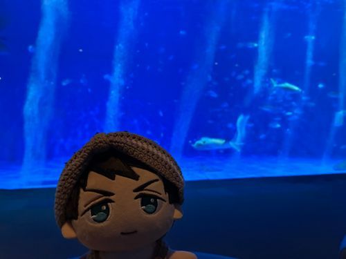 オレとジンベエザメ Part2