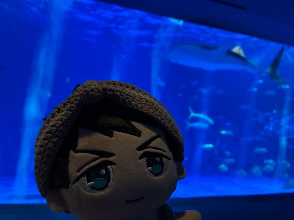 オレとジンベエザメ Part2