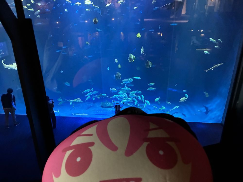 四国水族館を堪能