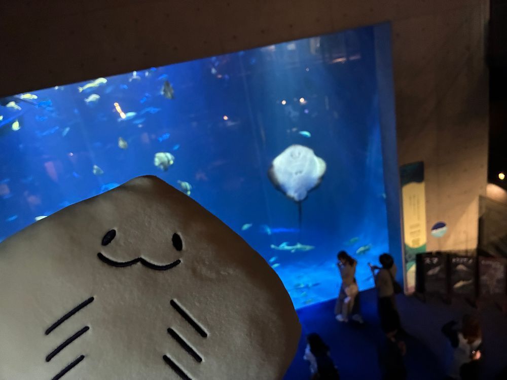 四国水族館を堪能