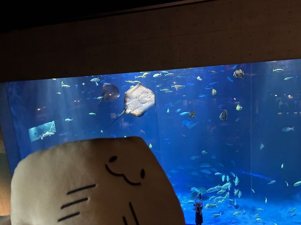 四国水族館を堪能