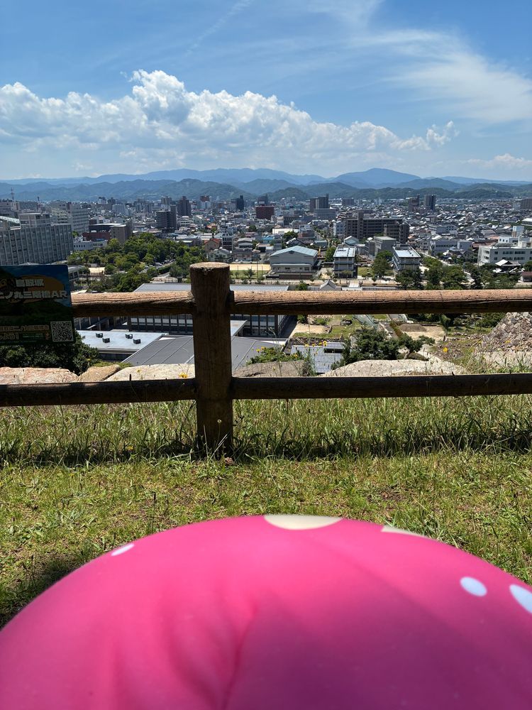 ここは来ないとな！