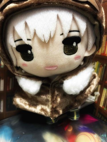 ぬい