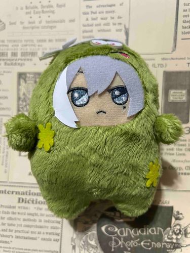 もんゆきくんをおむかえしました～‼️
これからよろしくね💕︎
ふるかぶのもんゆきくんとなかよくね～😊