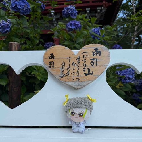 あじさい見に行ってきたよ～͛💠
糖衣くんは初お出かけ🚗³₃
