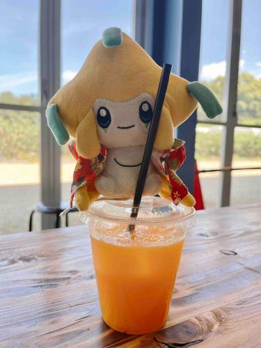 農園でジュース🍹う〜んトロピカル！！