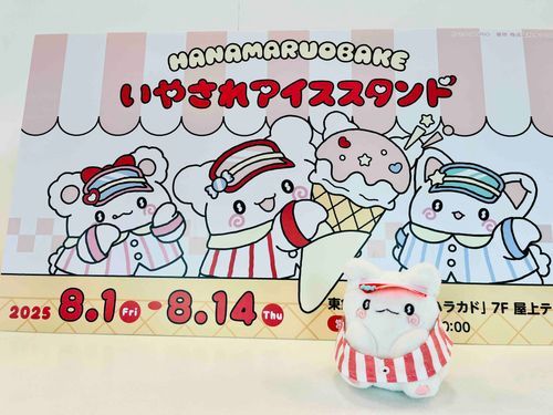 アルバイトにきました！まるまるです！よろしくお願いします！