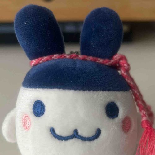 ハチマキをまいているがんばりみみっちです。頑張っている時もだらだらしたい時も美味しいものを食べる時も一緒にいようね。ハチマキはもらいもののミサンガです。ぴったり！