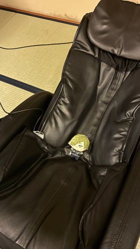ほう、これはいいものだな