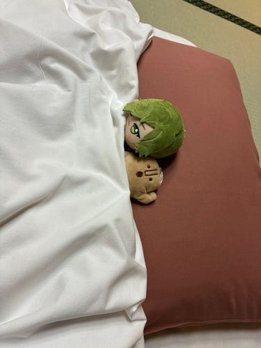大包平は今どこでバカやってるんだろうな