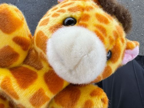 初めまして！キリンのきすけです！よろしくね〜！🦒
