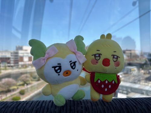 そらをとんだ、だっち
