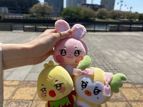 おともだちの、びょりちゃんとおさんぽしただっち❣️