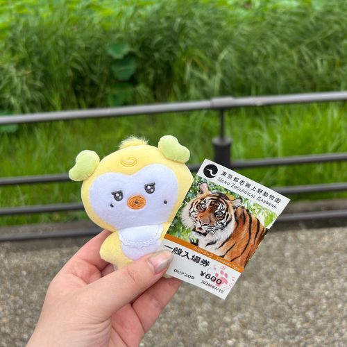 ✨🐯🐯🐯✨