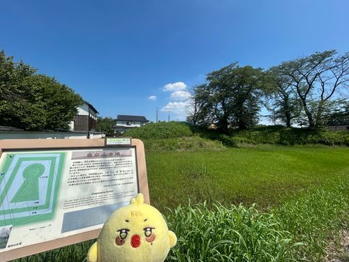 こふん、だっち🌳