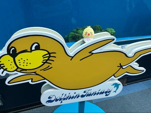 シー太くん、だっち🦦