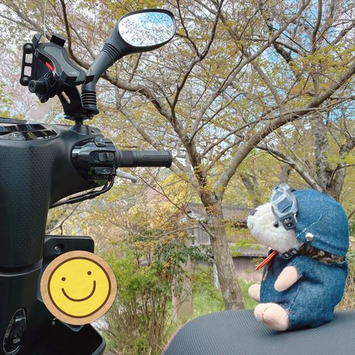 今日はツーリングDAY🏍️💨
すこし遅めの桜を見に行きます🌸