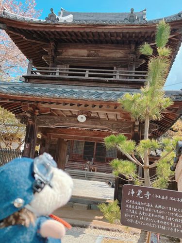 立派な門構えのお寺です！
上には鐘がぶら下がっているですが、普段は鳴らさないそう。
左奥の隠し階段から上がるみたい！👀