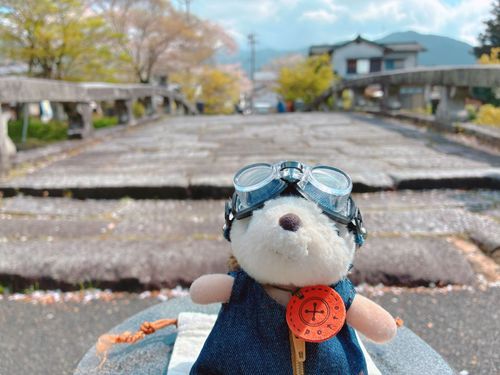 さくら満喫のお出かけは
これにてしゅうりょう！！

さてさて、次はどこに行こうかな…
🦔🐾