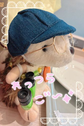 きたぞ！！GW〜！！
✨\\ﾄﾞﾝﾄﾞﾝﾊﾟﾌﾊﾟﾌ//✨
おニューのお帽子とメガネ
今日のためにゲットした双眼鏡をもっておでかけだぁーー！！🦔🧡