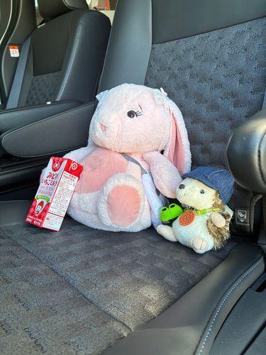 今日はおとなりに
ビックうさぎせんぱいがいました！
おでかけレッツゴー！
🐇💨🍓💨🦔💨