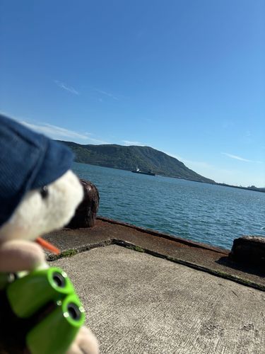 今日は海を見にきました！🌊⛱️
遠くにみえるのはタンカー船かな？
とってもきもちいい潮風がふいてました！
