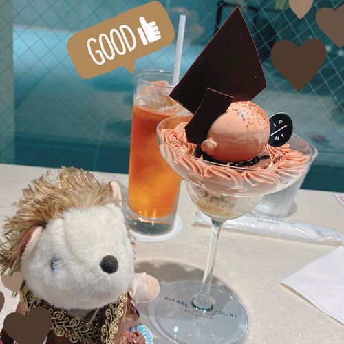 おしゃれなチョコレートスイーツを食べて
気分も調子もいいかんじです🍫🤎
✨ごぼうびスイーツ✨