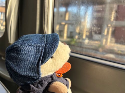 ついに雨の季節がやってきましたね…みなさま、いかがお過ごしでしょうか？🦔🧡
はりねずみは相変わらずマイペースにがんばっております♪

