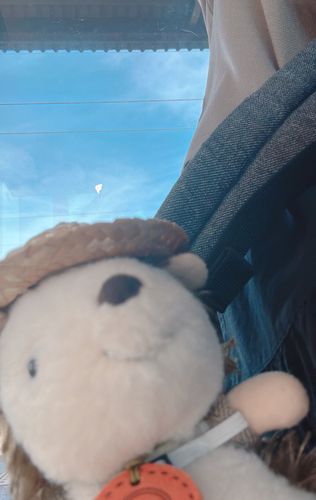 今日もとっても暑いですね🫠
水分・塩分しっかりとって
午後もぼちぼち頑張りましょー！！