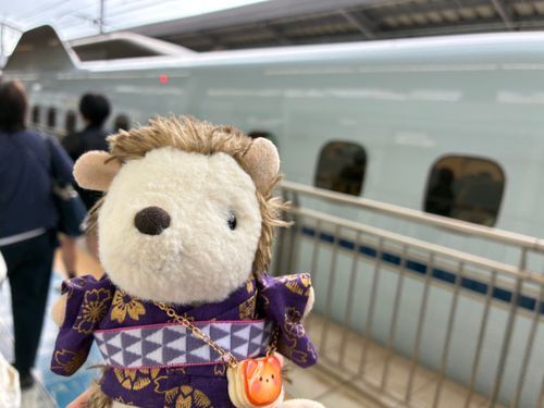 新幹線で遠出！🚅
お洋服も新調しております✨
楽しみです🧡👀