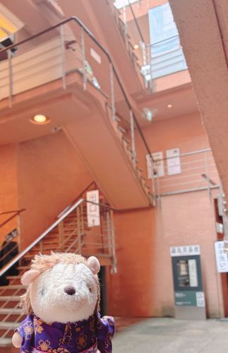 じゃん！この建物、地下3階分あるんですが…なんと美術館なんです！！
この“細見美術館”は
都会ならではなのか、限られた敷地でも作品鑑賞を邪魔せずに、天敵の光からも作品を守ってるから地下に伸びるように展示室があるのかもしれません…✨　ともあれとても素敵な空間でした‼️🦔🧡