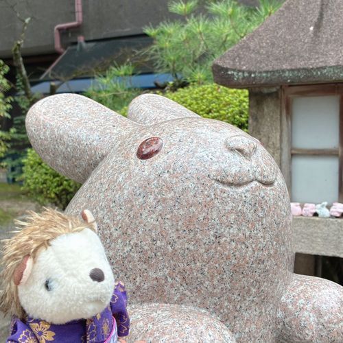 とてもきゅーとなうさぎさん🐰♡
こちらは岡崎神社です！
子守りの神様で、うさぎさんなんだとか！
狛犬ならぬ狛うさぎ…かわいすぎです🧡