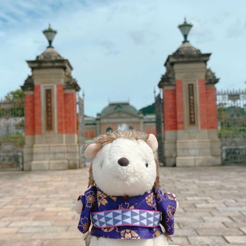 ついに来ました！
京都の中でも特にお気に入りの場所
✨京都国立博物館✨

この日は特別展はなく、お庭のみのお邪魔でしたが
いつもとは違う京博を堪能できました！！
た、楽しすぎる🦔💨