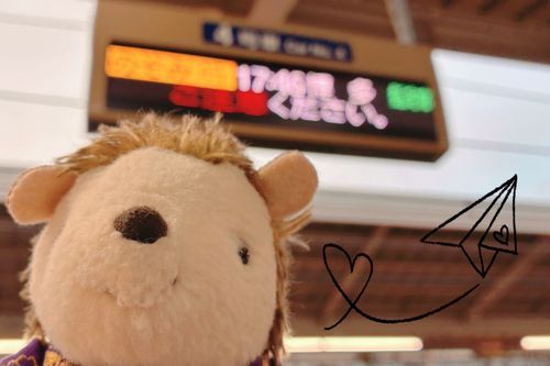 京都旅行、楽しかったな〜🧡
また行きますよ！！
でもその前に
今年も“あの場所“で“特別なあれ”
が開催される予感…✨
