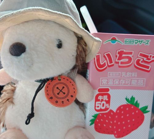 いちご牛乳できゅうけーーーい！！
🍓🥛✨

らくのうマザーズ、ご存知のかたいるかなぁ？？👀笑