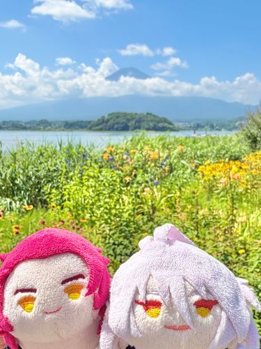 主の車で寝ていればどんな場所にもあっという間に着くのデス。