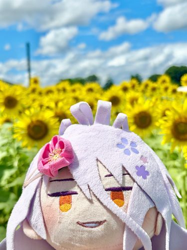 ナトゥ、しまショウね