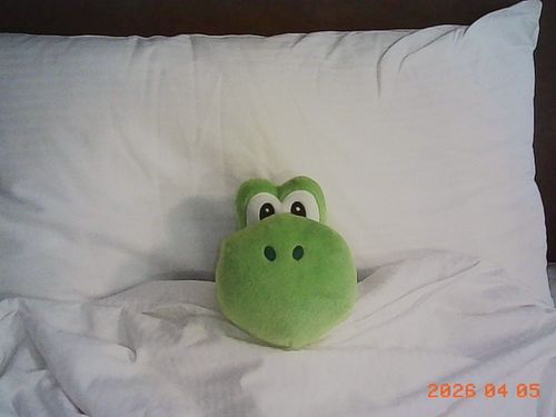 💤