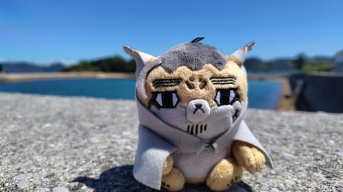 飼い主が仕事サボったから一緒に海まで来た
風強すぎてふっ飛ばされるかと思った…