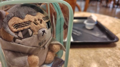 噂のちいかわの映画を見に来た。
座布団も作ってもらったし、準備万端だぜ。
因みに俺も飼い主もWeb連載派だから、結末は知ってるけどな…。
映画館でどうしても見たいって飼い主が言うからついてきた。