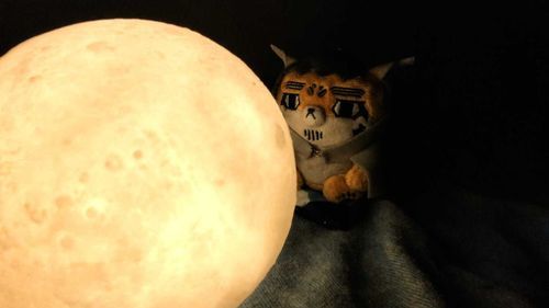飼い主がまた妙な物を購入。
何…？これで月見が毎日できるね。だと…？
まぁ、なんだ…飼い主がそれでいいなら、いいんじゃねぇか…？
300円の電池式で光る月で…。