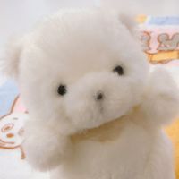 🐻‍❄️