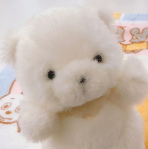こんちゃま